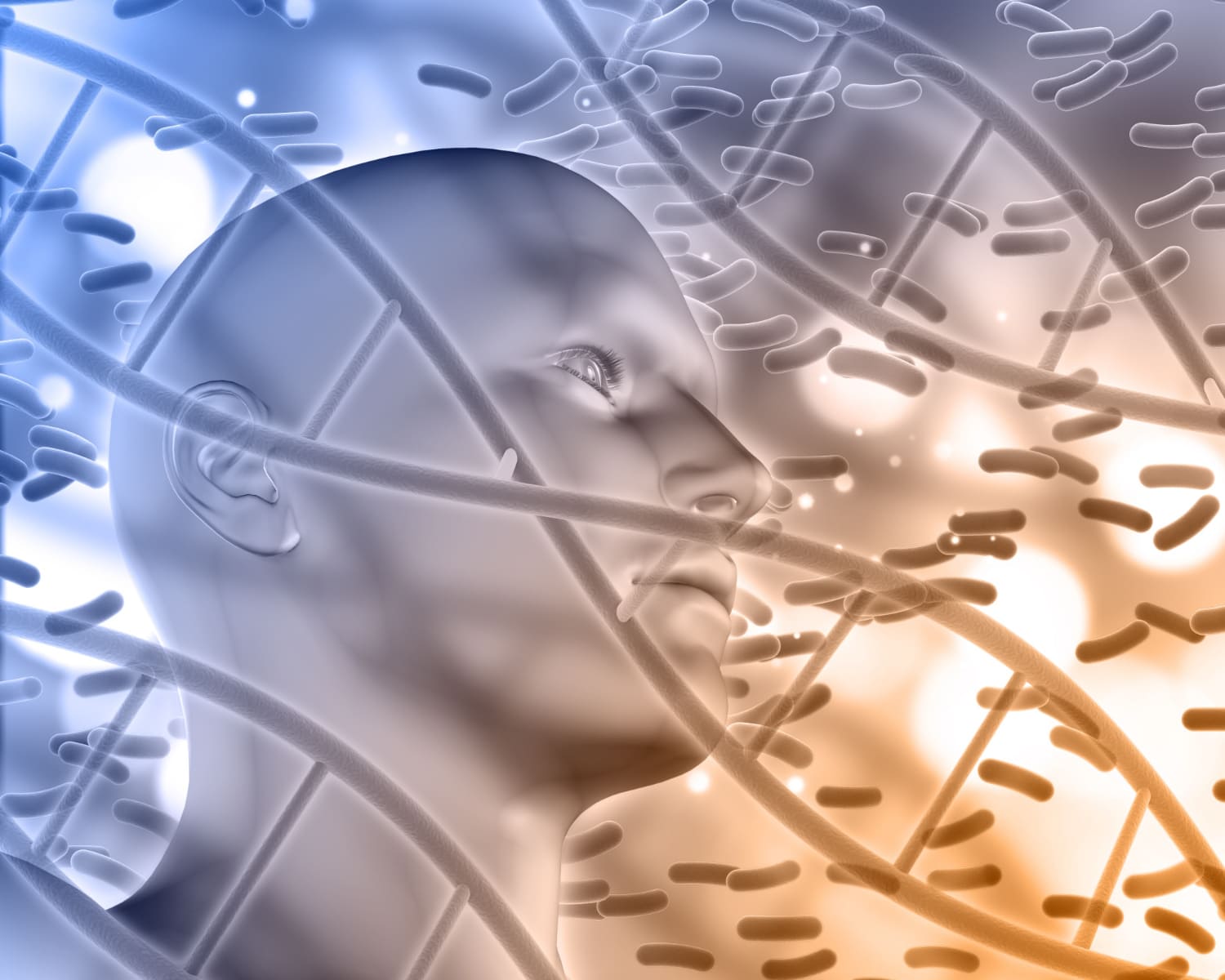 What are genetic diseases