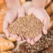 glutensiz beslenme nedir