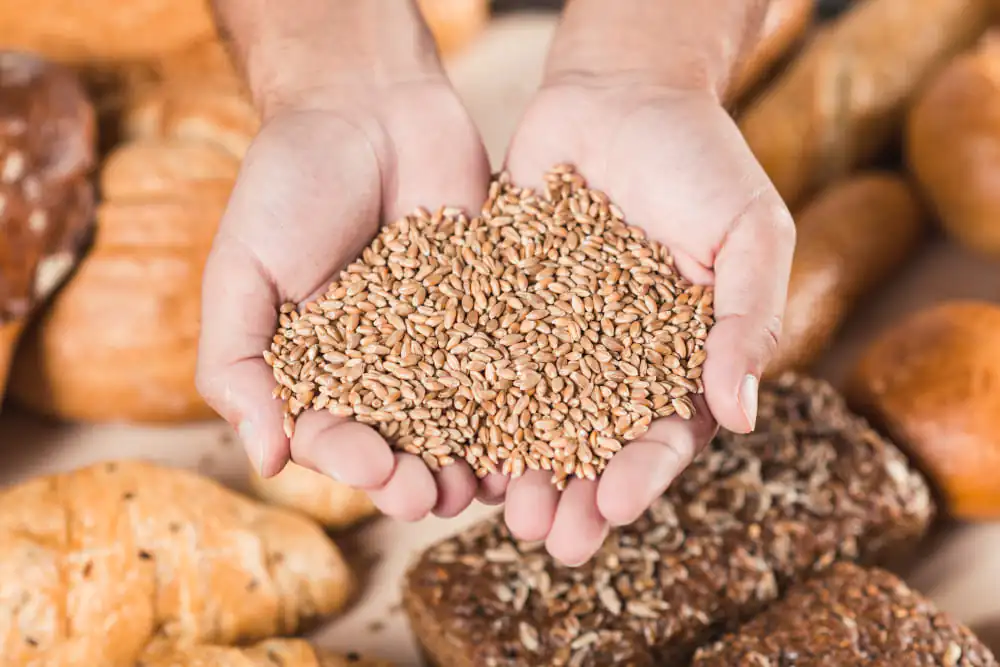 Glutensiz Beslenme Nedir?