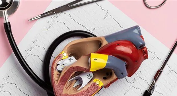 Aort Anevrizması Nedir? Belirtileri ve Tedavi Yöntemleri Nelerdir?