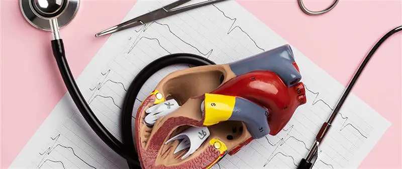 Aort Anevrizması Nedir? Belirtileri ve Tedavi Yöntemleri Nelerdir?